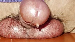 قرب احلى افلام سكس رومانسيه كام - 2022-02-07 13:49:40